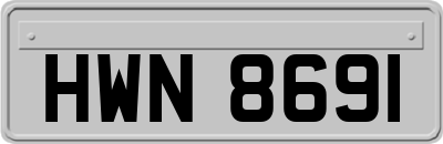 HWN8691