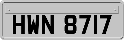 HWN8717
