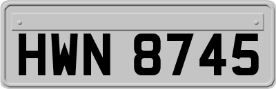 HWN8745