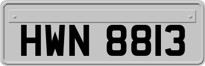 HWN8813