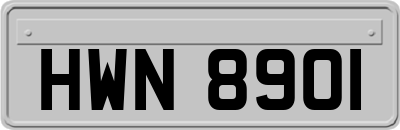 HWN8901