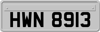 HWN8913