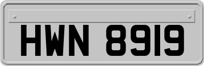 HWN8919