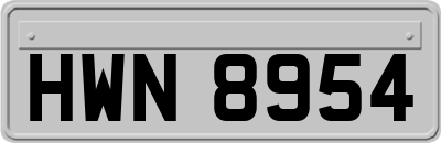 HWN8954