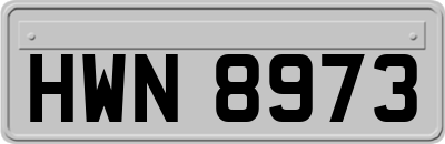 HWN8973