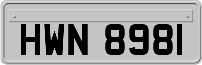 HWN8981