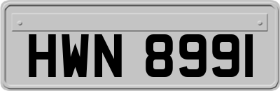HWN8991