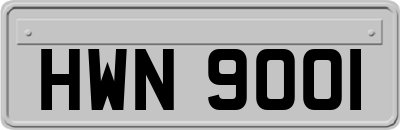 HWN9001