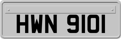 HWN9101