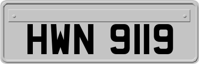 HWN9119
