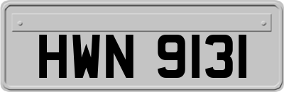 HWN9131
