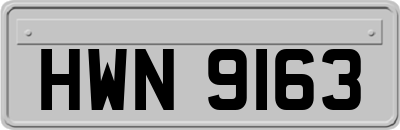 HWN9163