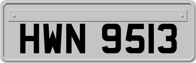 HWN9513