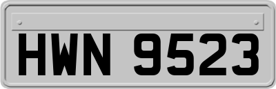 HWN9523