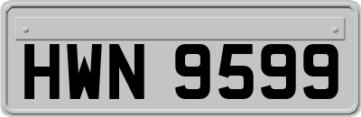 HWN9599