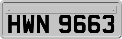 HWN9663