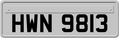 HWN9813