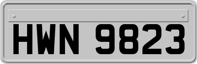 HWN9823
