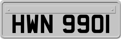 HWN9901