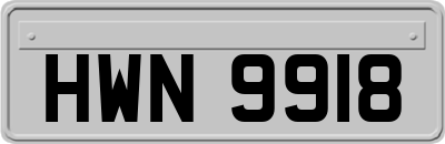 HWN9918