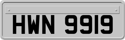 HWN9919
