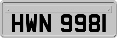 HWN9981