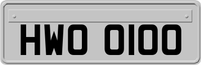 HWO0100