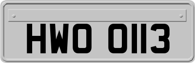 HWO0113