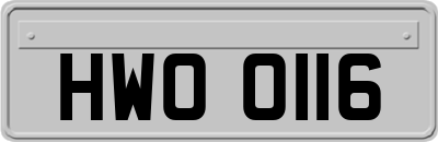 HWO0116