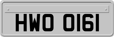 HWO0161