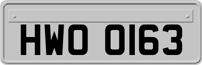 HWO0163