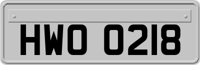 HWO0218