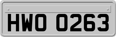 HWO0263