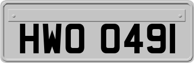HWO0491