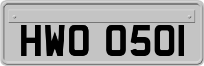 HWO0501