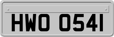 HWO0541