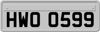 HWO0599