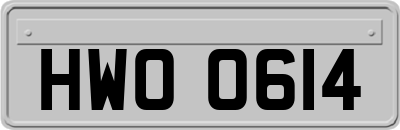 HWO0614