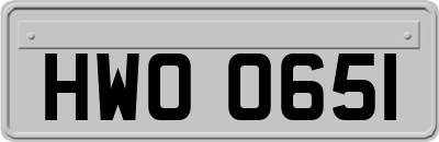 HWO0651