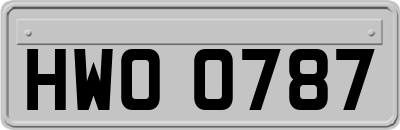 HWO0787