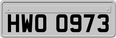 HWO0973
