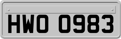 HWO0983