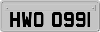 HWO0991
