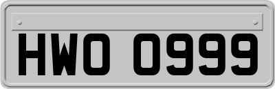HWO0999