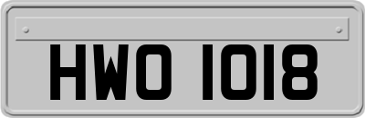 HWO1018