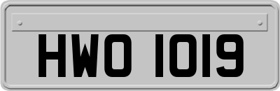 HWO1019
