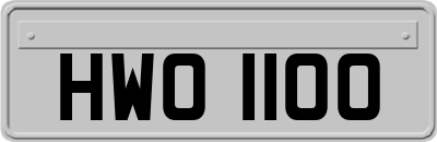 HWO1100