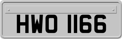 HWO1166