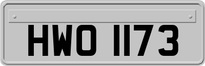 HWO1173