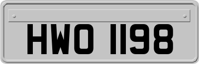 HWO1198